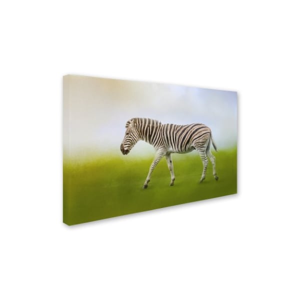 Jai Johnson 'Journey Of The Zebra' Canvas Art,22x32